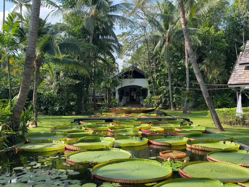 Anantara Bophutの熱帯庭園で、細長い池を巨大なスイレンの葉が埋め、奥にパビリオンが見える