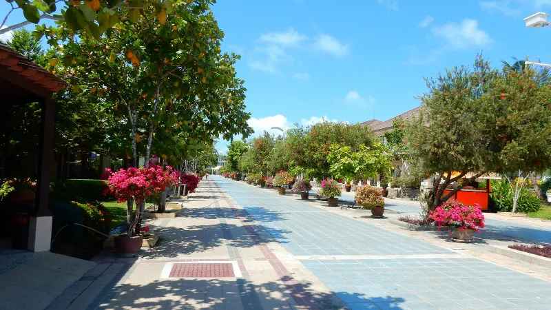 Roadway and parking area near Samui International Airport with palm trees, Koh Samui