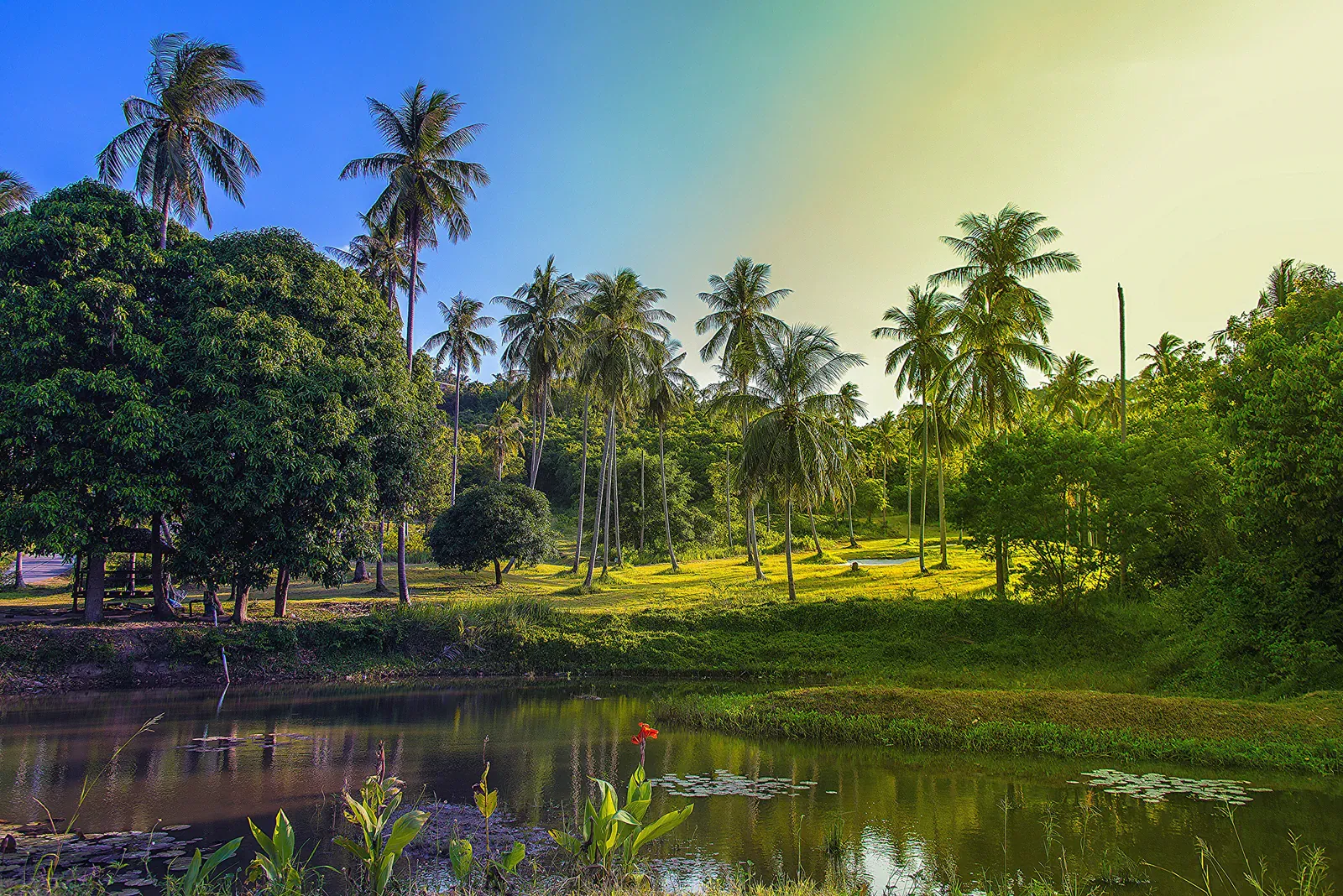 Anantara Lawana Koh Samui Resort Review (2026)