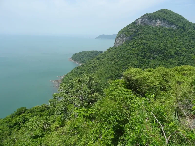 Coastal cliffs and greenery at Koh Wua Talab, the main island of Ang Thong Marine Park