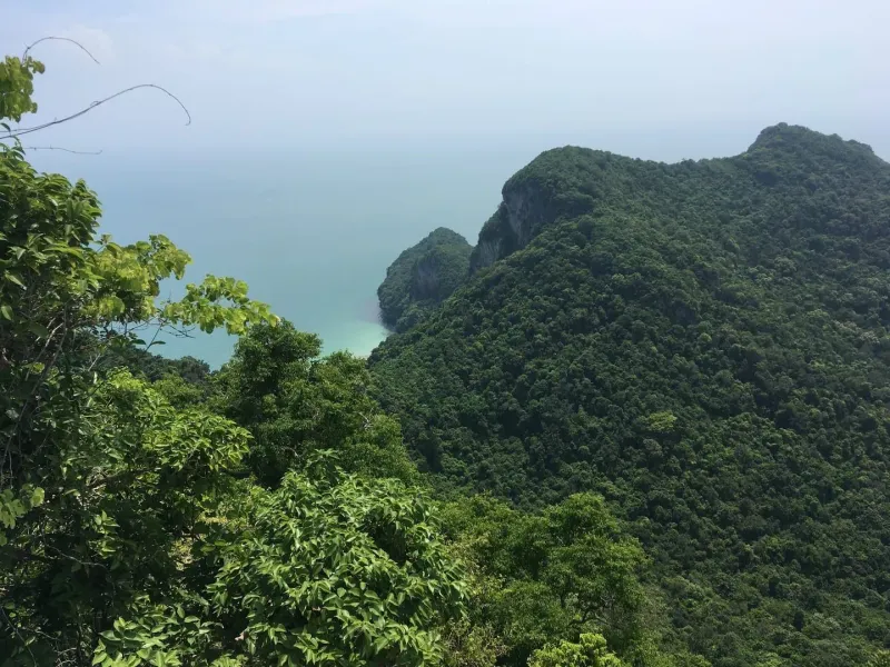 Forested limestone island at Koh Wua Talab on an Ang Thong day trip