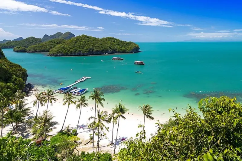 Denso dosel selvático cubriendo las islas kársticas del Parque Nacional Marino Ang Thong