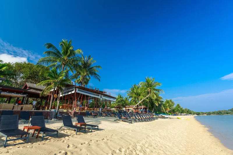 Lettini sulla spiaggia e un bar sul mare sotto le palme al Bandara Resort Samui, sulla baia di Bophut