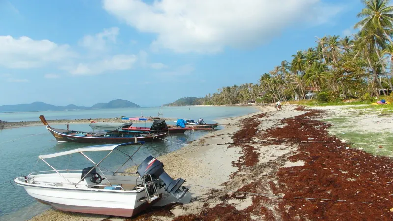 Bang Kao Beach, Koh Samui — Ansicht 2