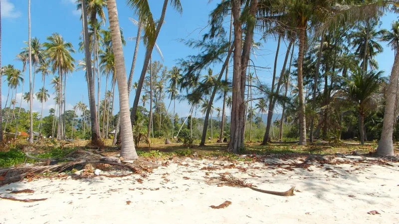 Bang Kao Beach, Koh Samui — Ansicht 4
