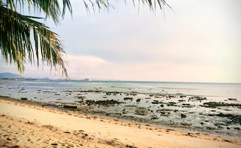Freigelegtes Riffplateau bei Ebbe entlang der Küste von Bang Makham