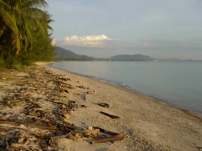 Driftwood, coconut husks and debris scattered along an unswept stretch of sand