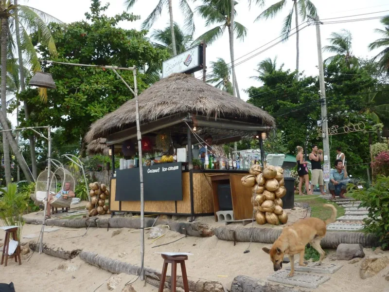 Koh Samui north coast shoreline near Bophut and Bang Rak with palm trees and calm water