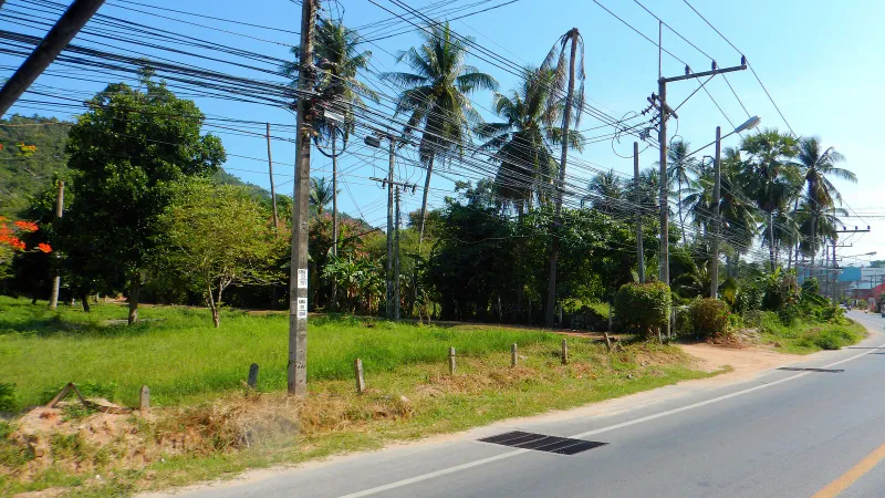 Coconut palms and tropical greenery along the hillside road near Banyan Tree Samui, Maret, Koh Samui