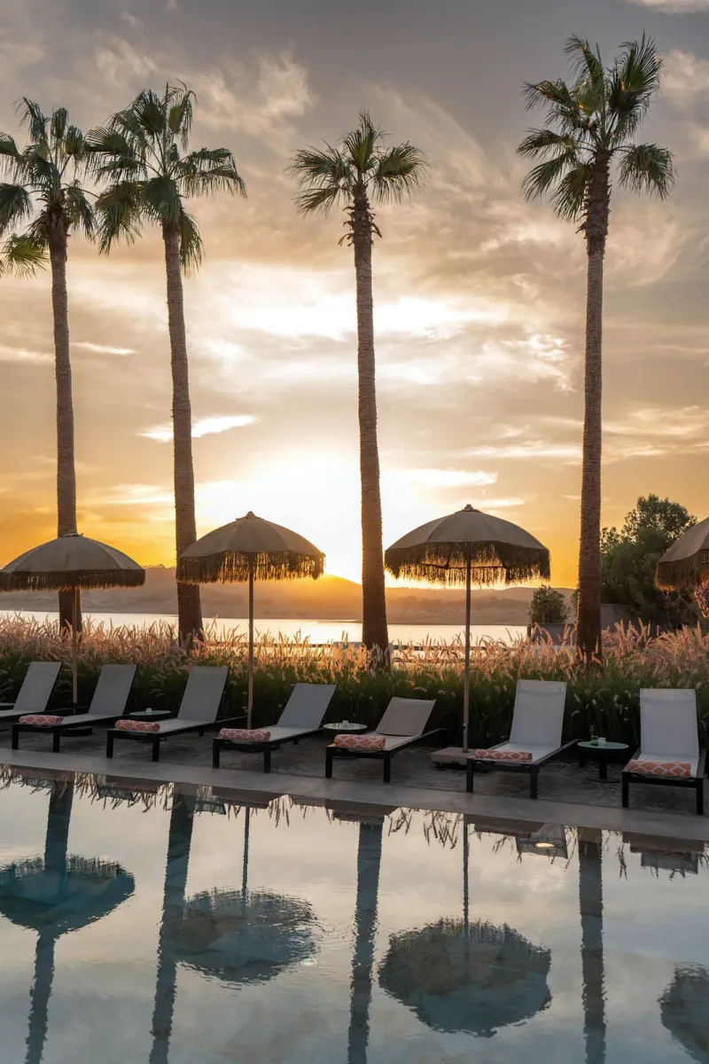 A tropical pool at sunset with palm trees and poolside seating
