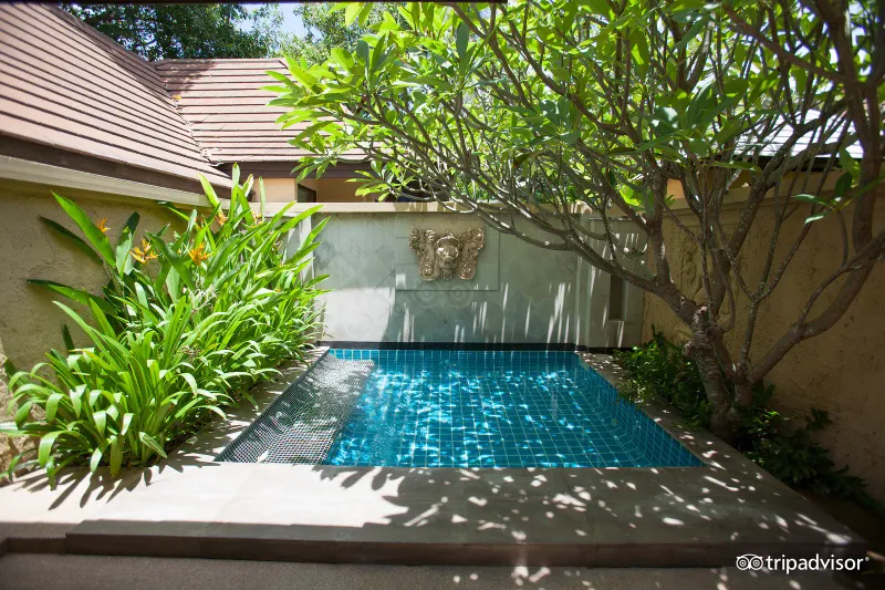 Piscina privata in una villa nel giardino del Bo Phut Resort and Spa circondata da frangipani e piante tropicali