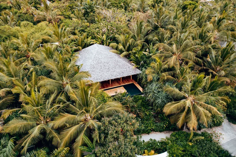 Aerial view of a luxury pool villa surrounded by palm trees at a Koh Samui private island resort