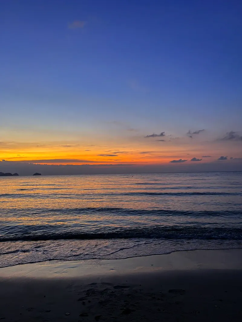 Palm fronds silhouetted against a sunset over the sea, Koh Samui