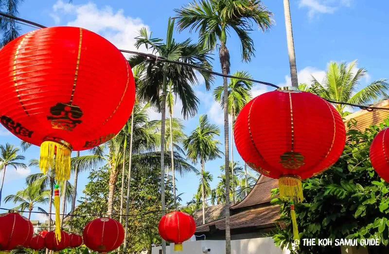 Reihen roter chinesischer Laternen mit goldenen Quasten, zwischen Palmen aufgehängt zum chinesischen Neujahr auf Koh Samui