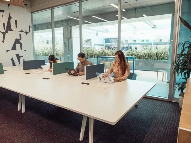 Professionals working on laptops at a shared desk in a bright coworking space
