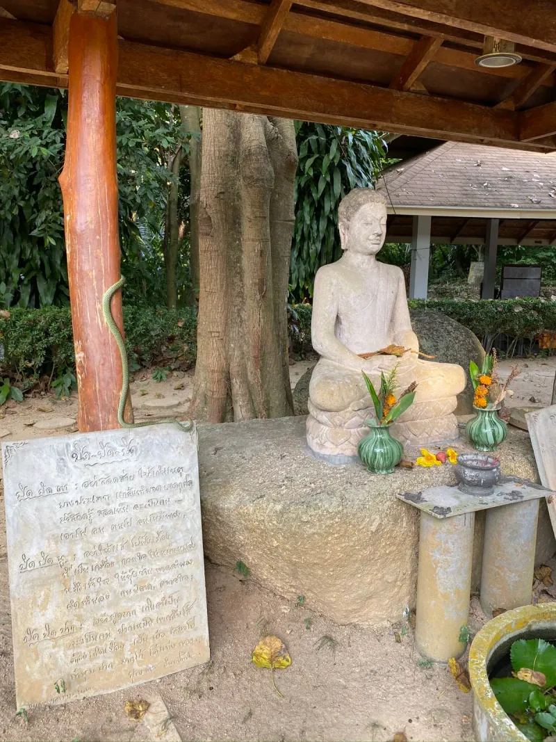 Sala de meditación abierta y vacía con suelo de madera pulida y filas de ventiladores de techo