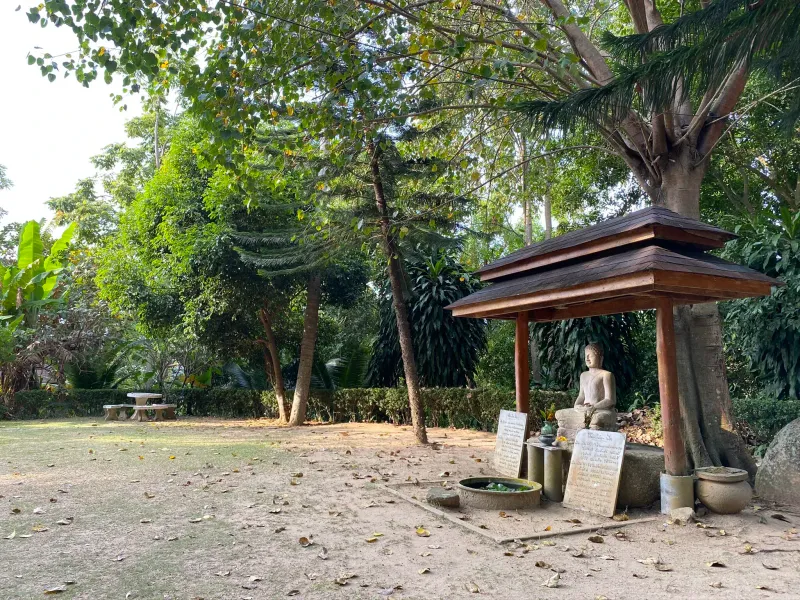 Una estatua de Buda de piedra sentada bajo un pequeño refugio de madera entre árboles del jardín