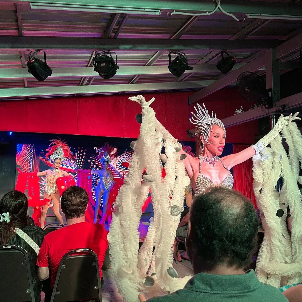 A Divas Cabaret performer in an elaborate feathered headdress and beaded costume on stage under coloured lights
