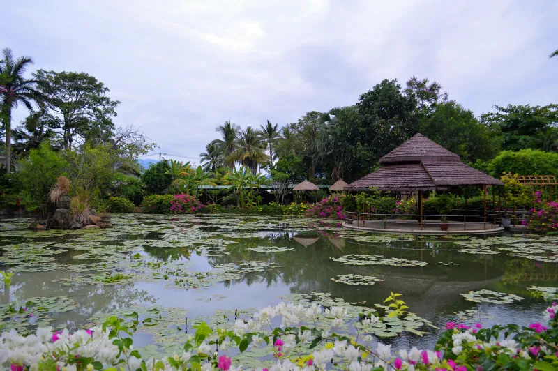 A peaceful garden gazebo surrounded by water lilies, generic illustration of the kind of grounds an art park like Dusit Dhewa has