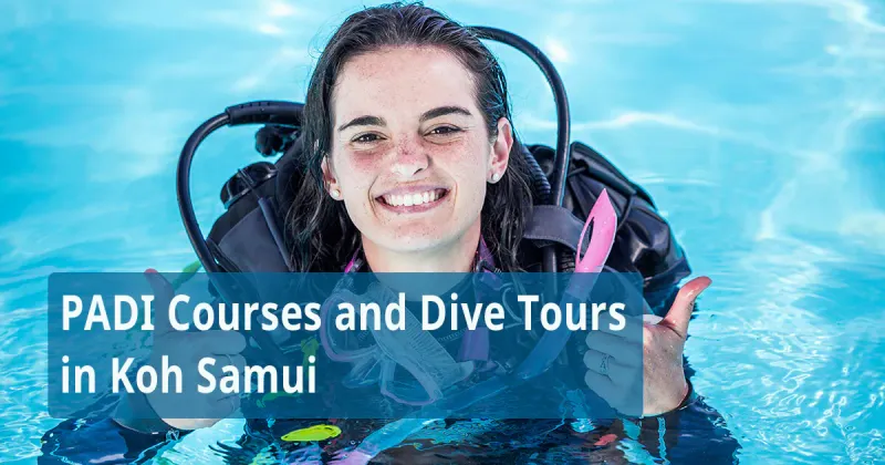 A diver in the water giving a thumbs-up, pictured on Easy Divers' own PADI courses page