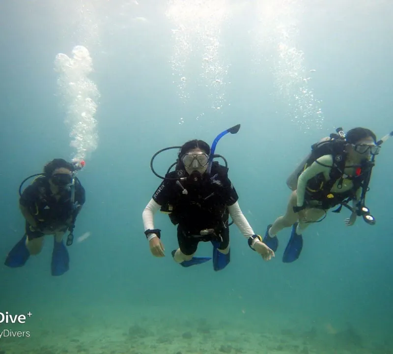 Three divers descending together, pictured on Easy Divers' Tripadvisor listing