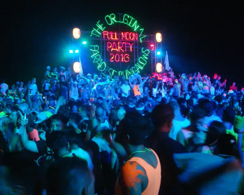 El cartel original, Paradise Bungalows, 2016