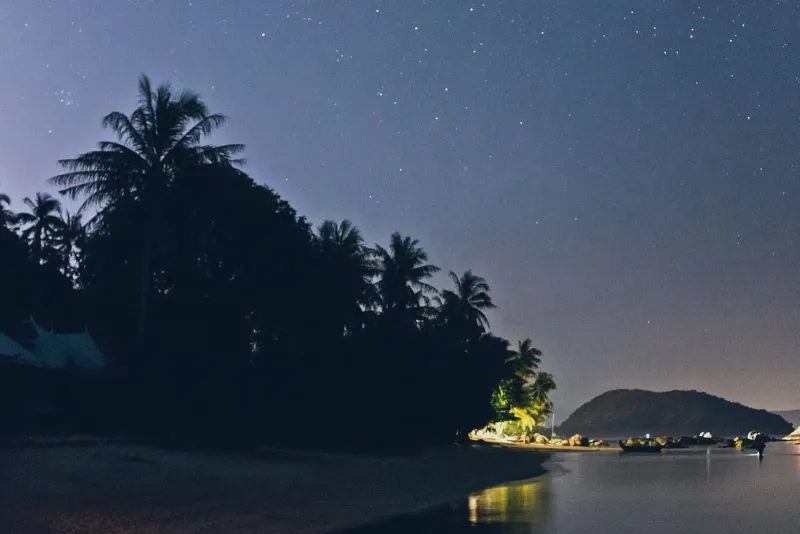 Palm trees silhouetted under a starry night sky on a Gulf of Thailand beach near Koh Phangan