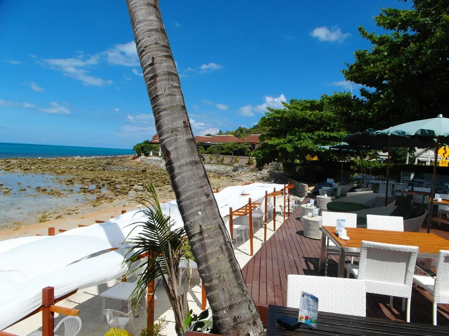 Jungle Club — Koh Samui's Hilltop Terrace Above Chaweng Bay