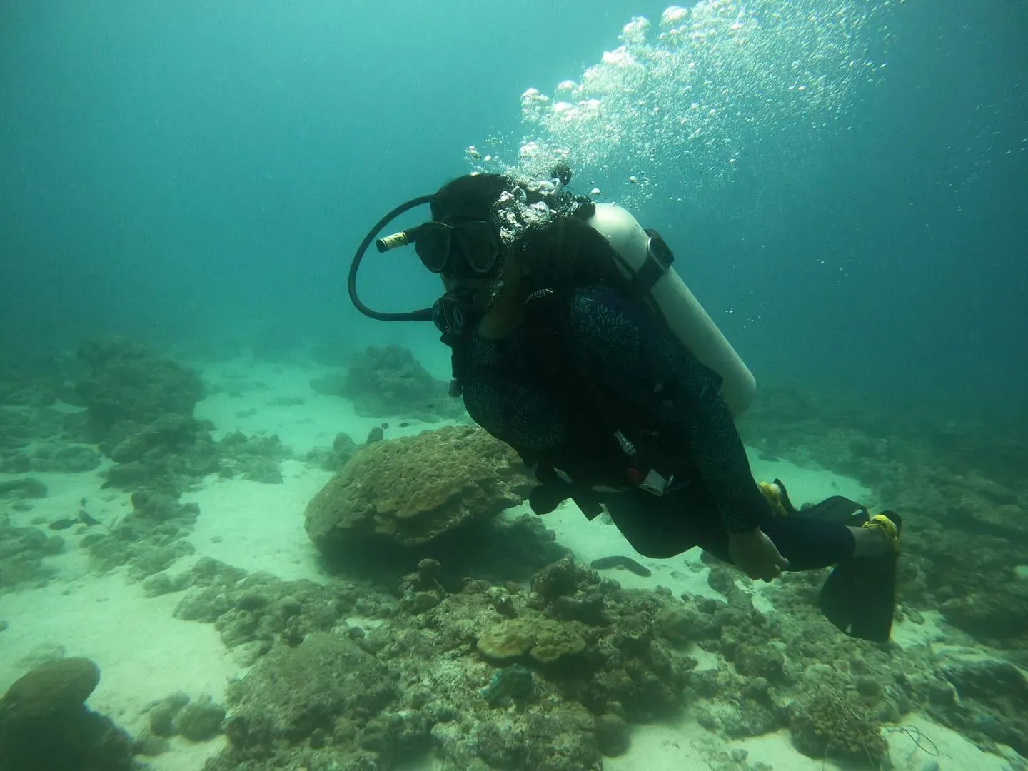 Diving from Koh Samui — Sail Rock, Dive Shops, Prices (2026)