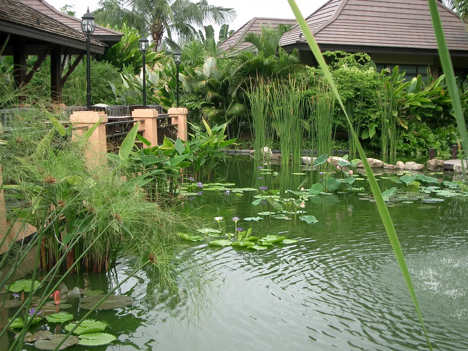 Anantara Bophut Koh Samui Resort: Fisherman's Village Review (2026)