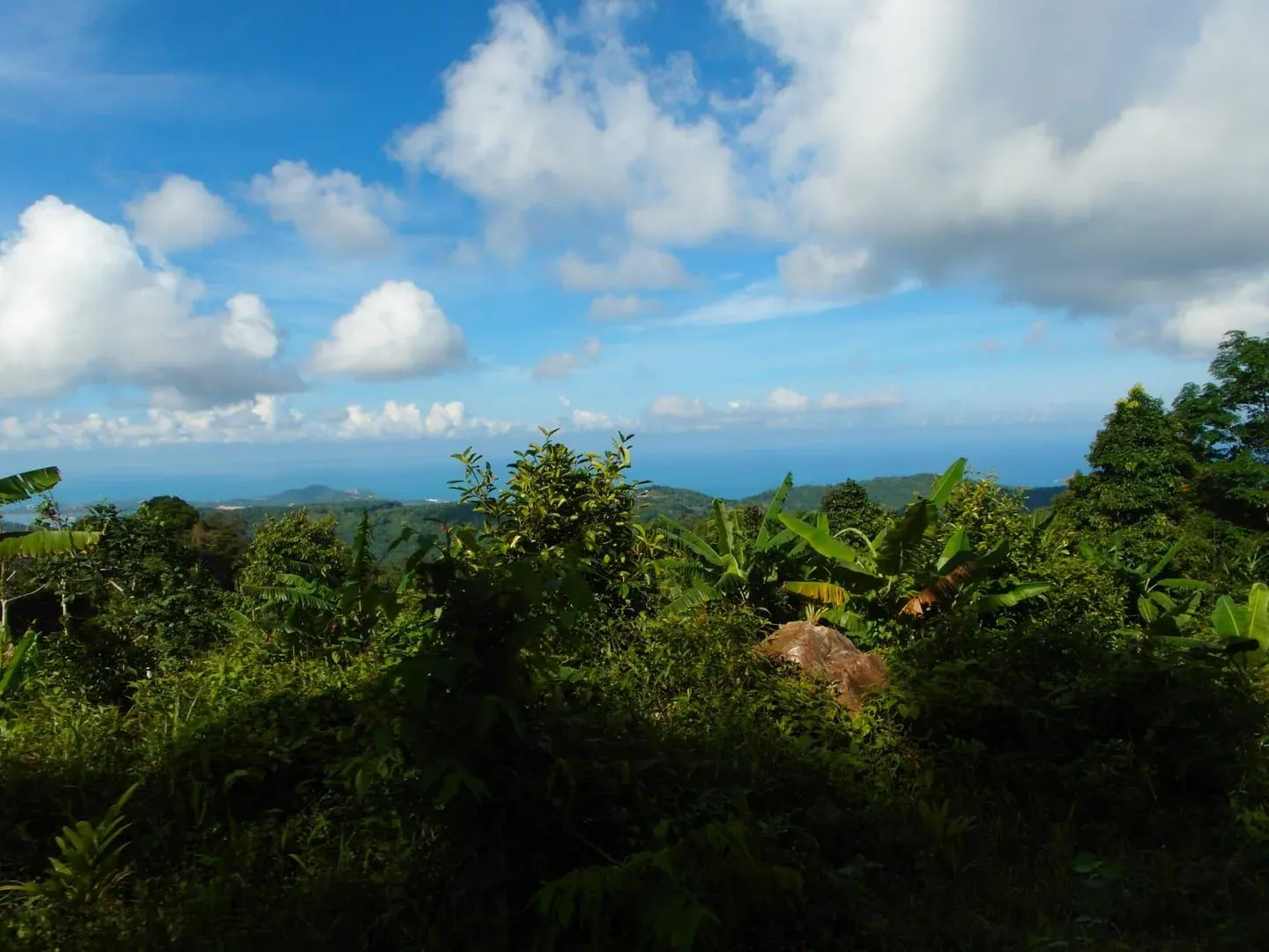 Jungle Route 360 — Koh Samui's Second-Highest Viewpoint