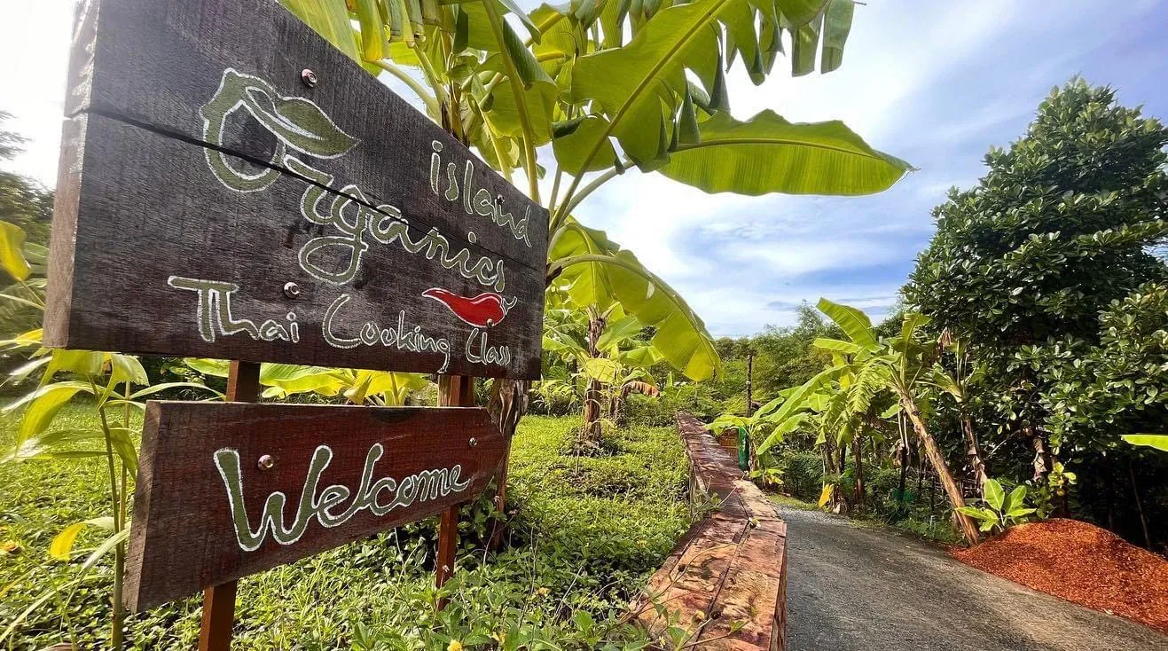 Island Organics Samui — Farm-to-Table Thai Cooking Class in Bangrak