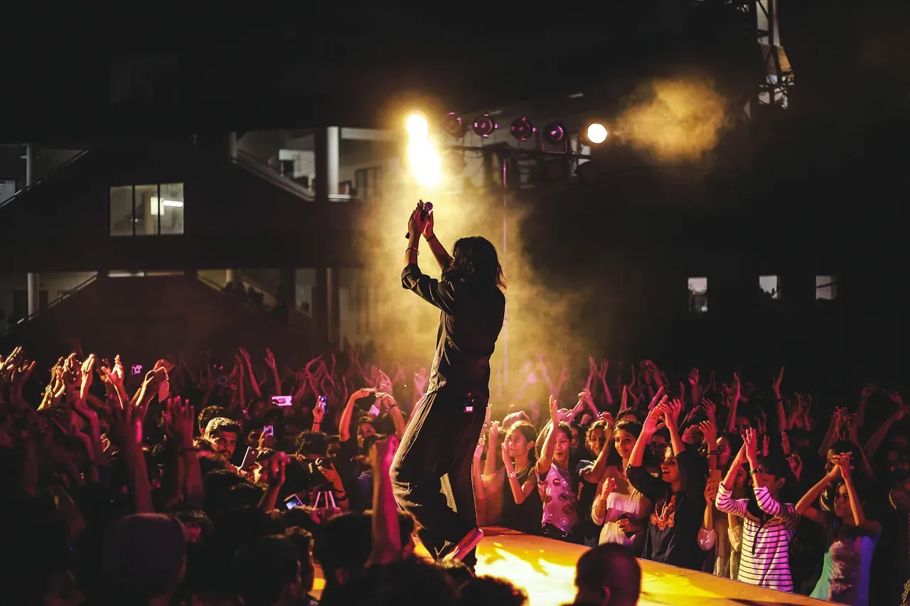 Performer on stage in front of a cheering crowd