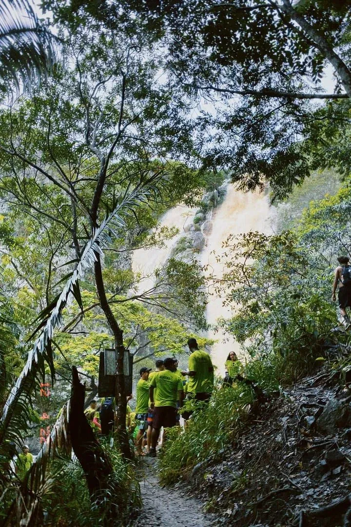 Steep jungle trail through tropical forest near Na Muang on Koh Samui's southern interior, the terrain of the island's climbing routes