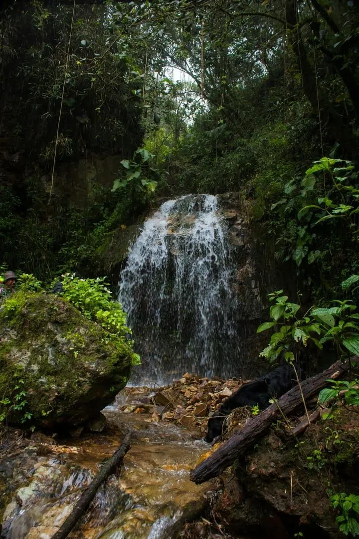 Jungle waterfall trail with rope handholds on Koh Samui's Na Muang trek