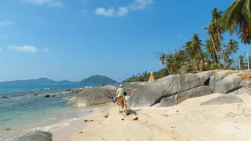 Wat Khao Chedi, Koh Samui: view 2
