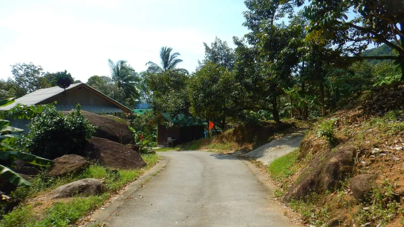 Sendero Khao Phra: Trekking Salvaje en la Selva de Bambú de Samui