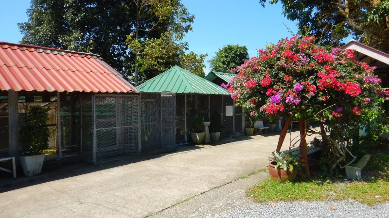 Paradise Park, Samui 2016 march