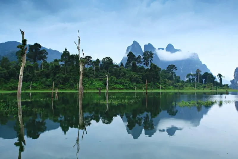 Aerial view of Khao Sok National Park rainforest and Cheow Lan Lake in Surat Thani Thailand