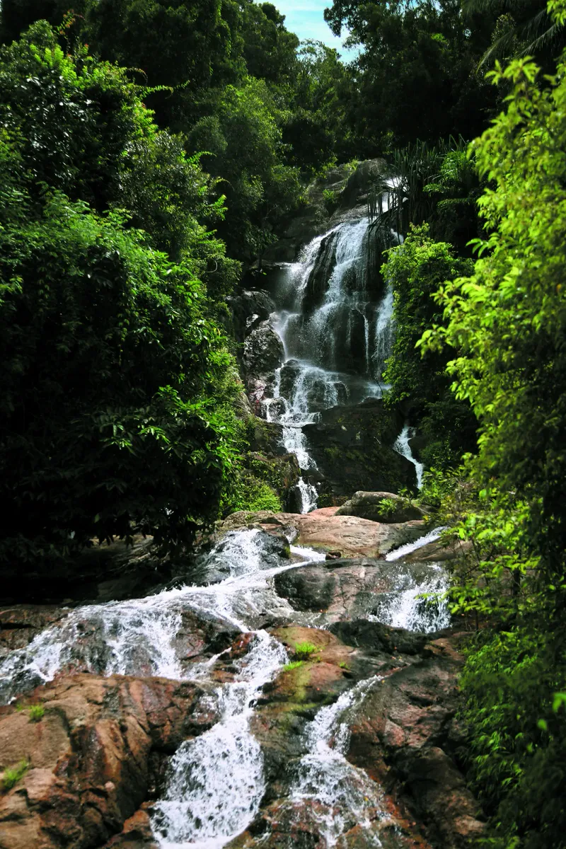Ein hoher Dschungelwasserfall, der durch dichten Regenwald fällt, typisch für Koh Samuis Bergkaskaden