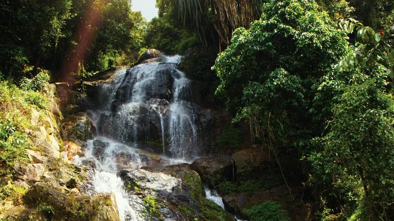 Khun Si Wasserfall fällt durch das Dschungeldach