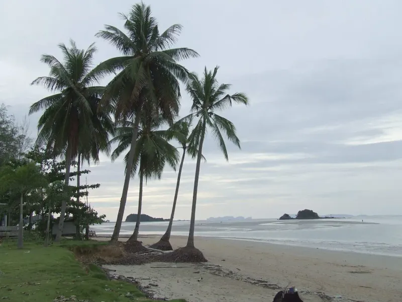Palm-lined beach on Koh Lanta with calm Andaman Sea water