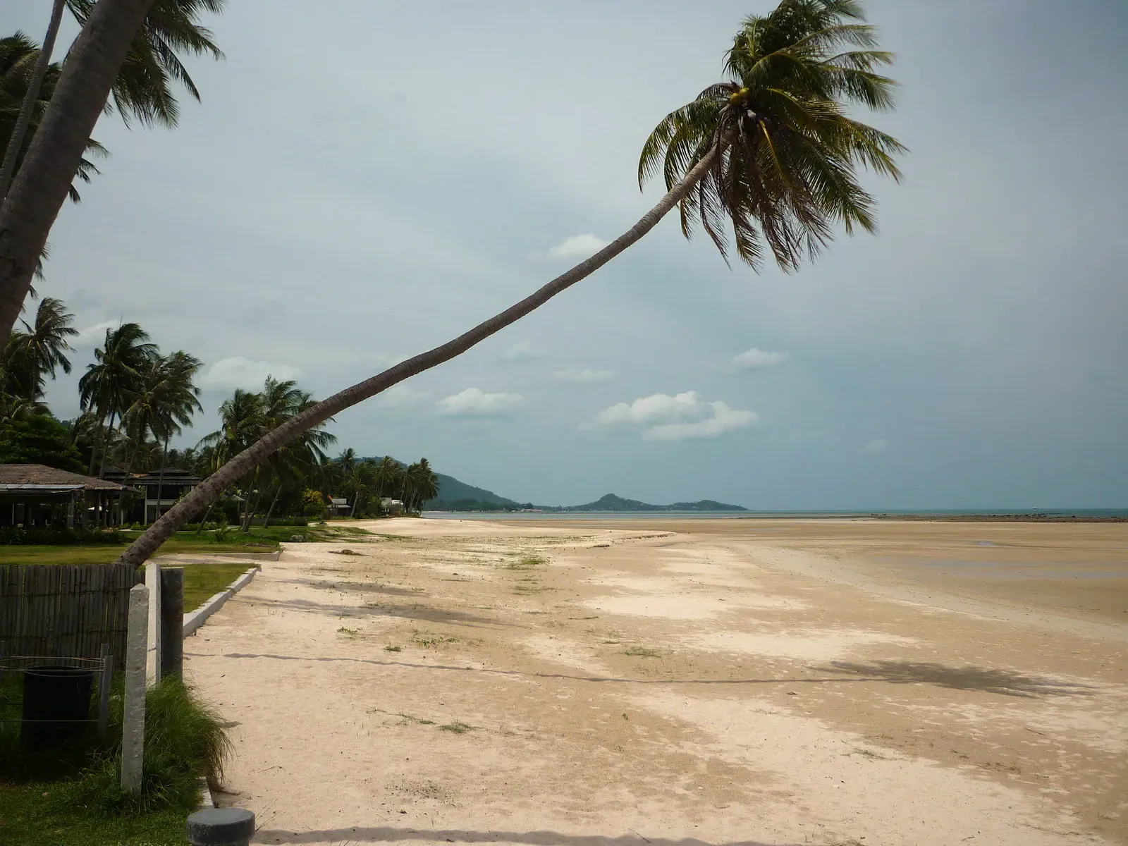Baobab, Lamai Beach: Koh Samui's French Bistro on the Sand