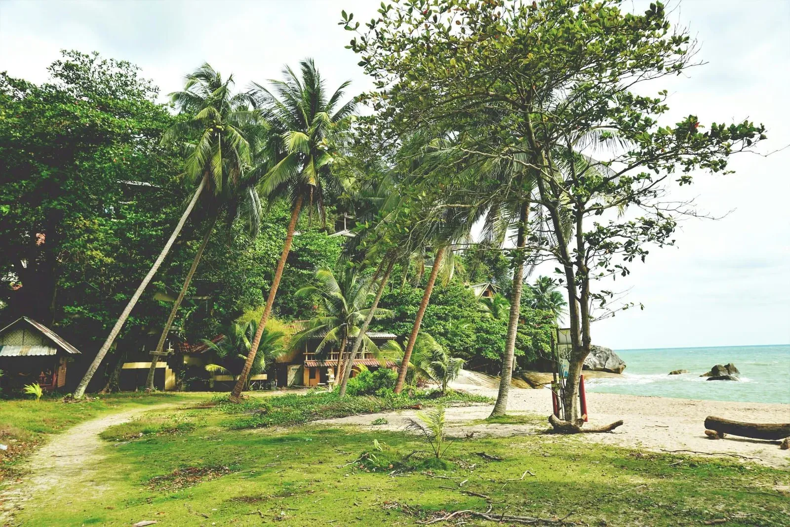 Tropical beach with palm-fringed villas near Koh Samui, representing the island's busy December peak season