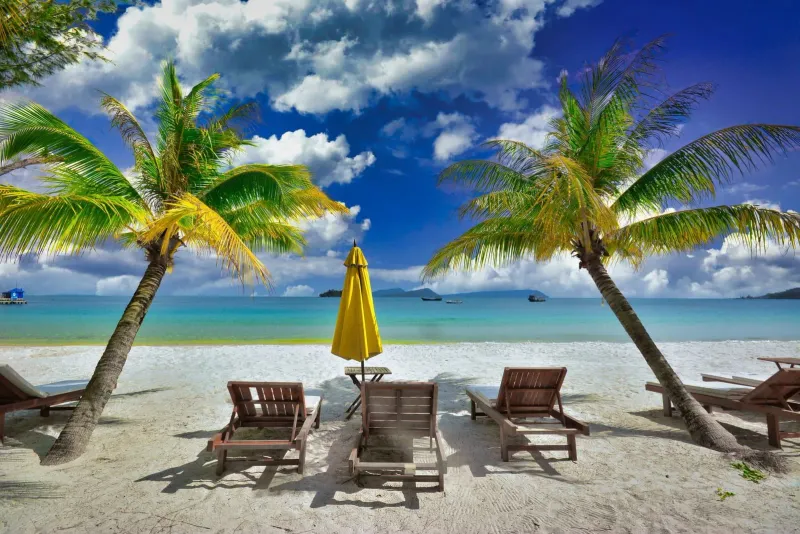 Palm trees and lounge chairs on a peaceful tropical beach typical of Koh Samui in August