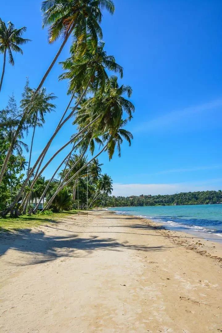 Palm-fringed tropical beach representing Koh Samui's warm July sea temperature