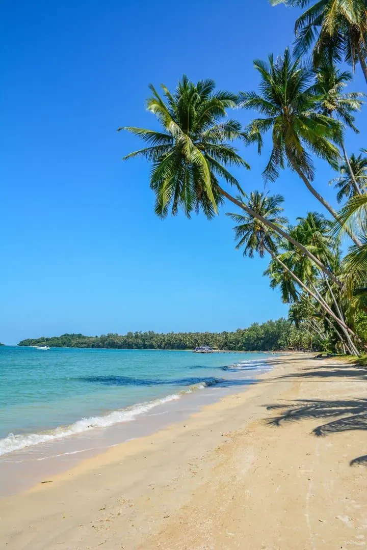 Palm-fringed tropical beach and calm sea illustrating Koh Samui's green season from June to August