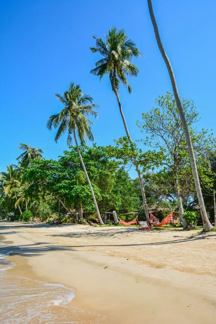 Hammock strung between palm trees on a quiet tropical beach during Koh Samui's low season