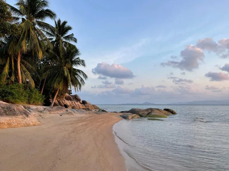 Palm trees on a Koh Samui beach under a mix of blue sky and white October clouds