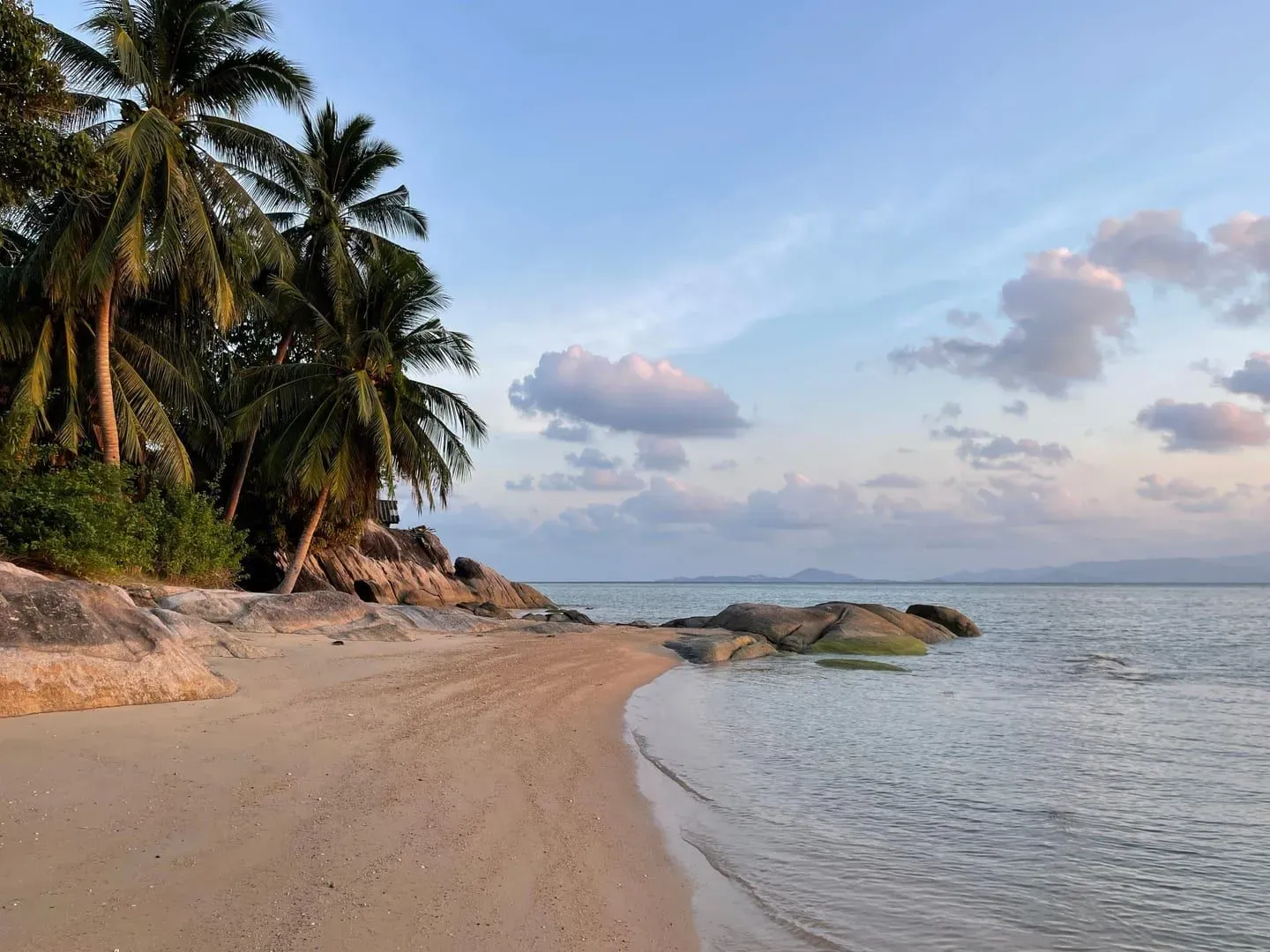 Palm trees leaning over a calm Koh Samui shoreline typical of the island's dry and hot season months